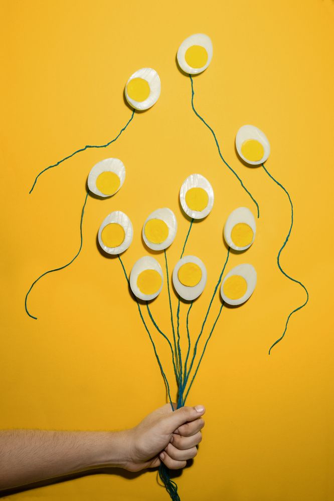 Фотография автора Vikram Aditya Reddy