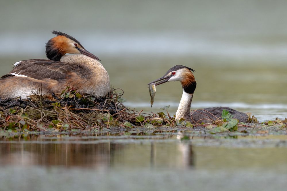 Photograph by Константин Тучин