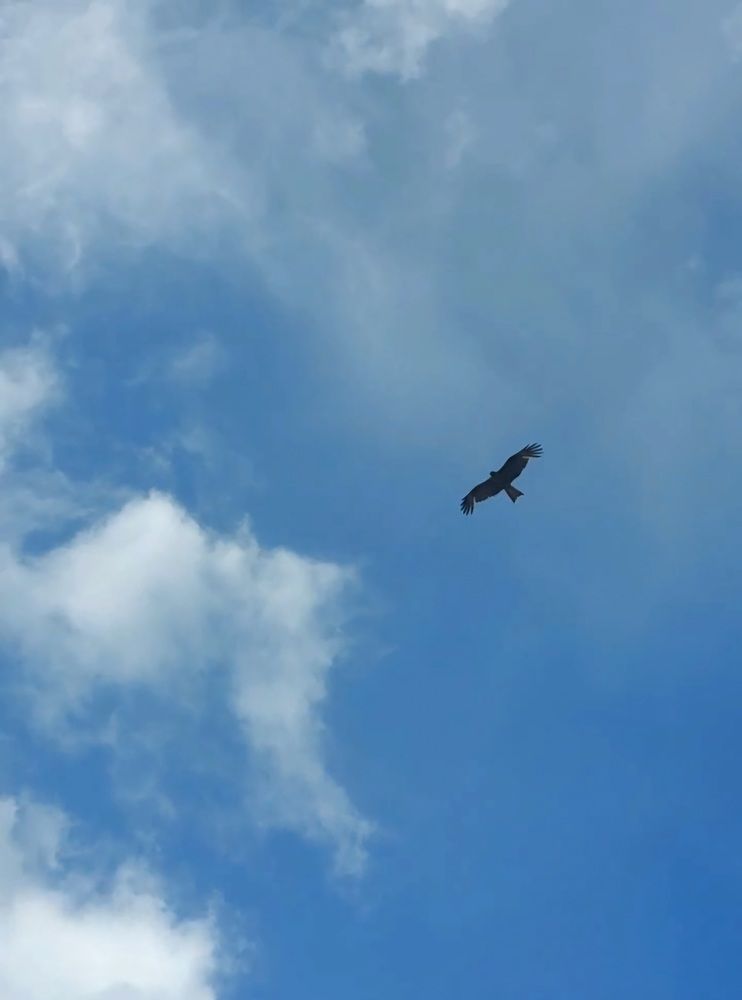 Photograph by Наталья