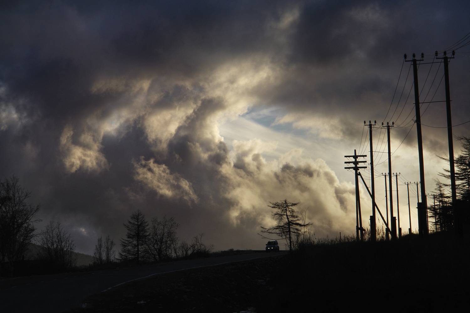 Photo #12538259