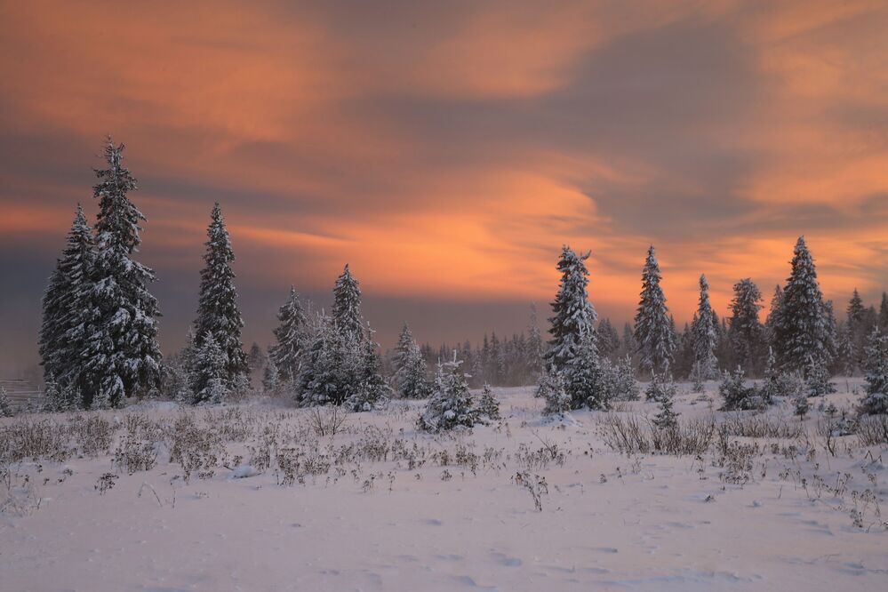 Фотография автора Юрий Кетель