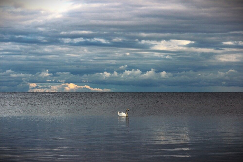 Photograph by ILONA OTRUTSKAYA