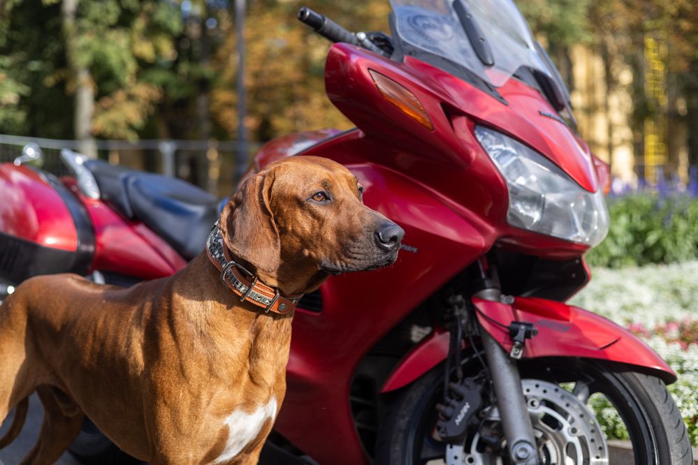 Photograph by Anastassia