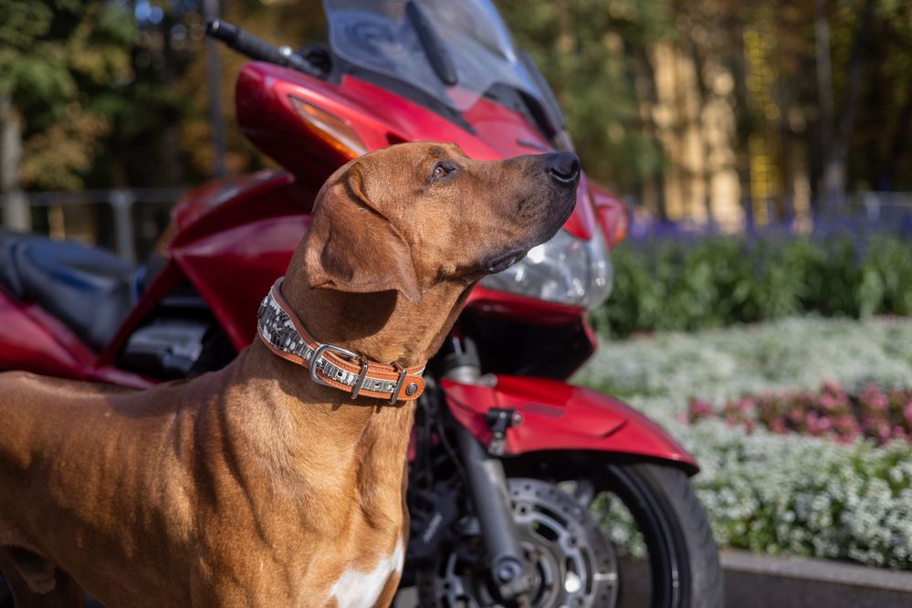 Photograph by Anastassia