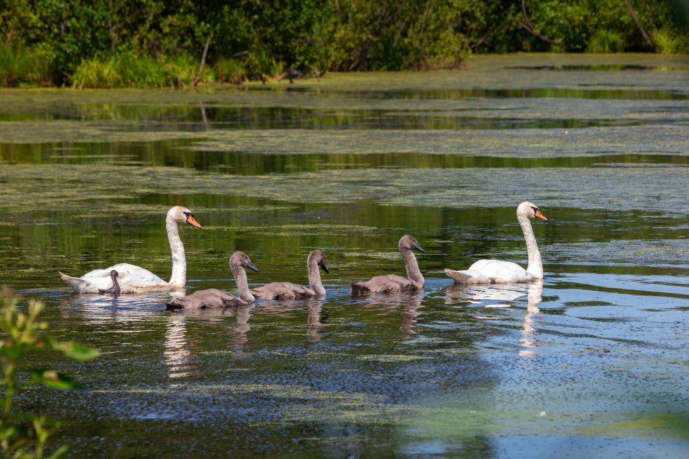Photograph by Светлана Верзилина