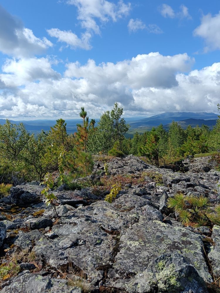 Photo #12538419