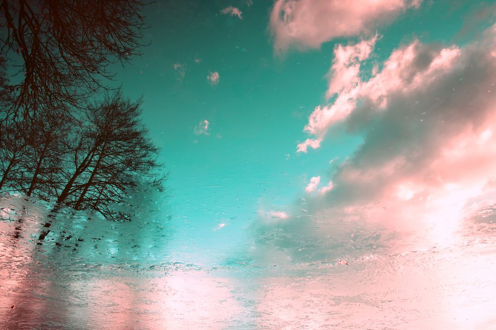 Фотография автора Анна Листишенко