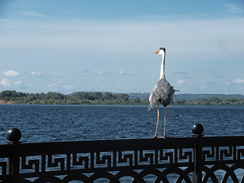 Photograph by Екатерина Салий