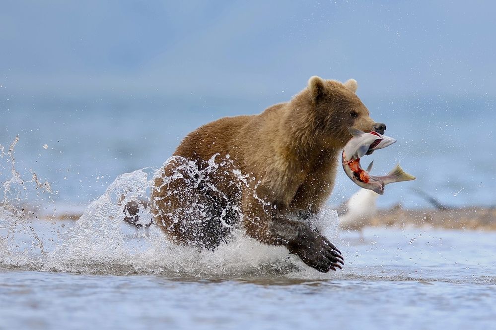 Отличная рыбалка