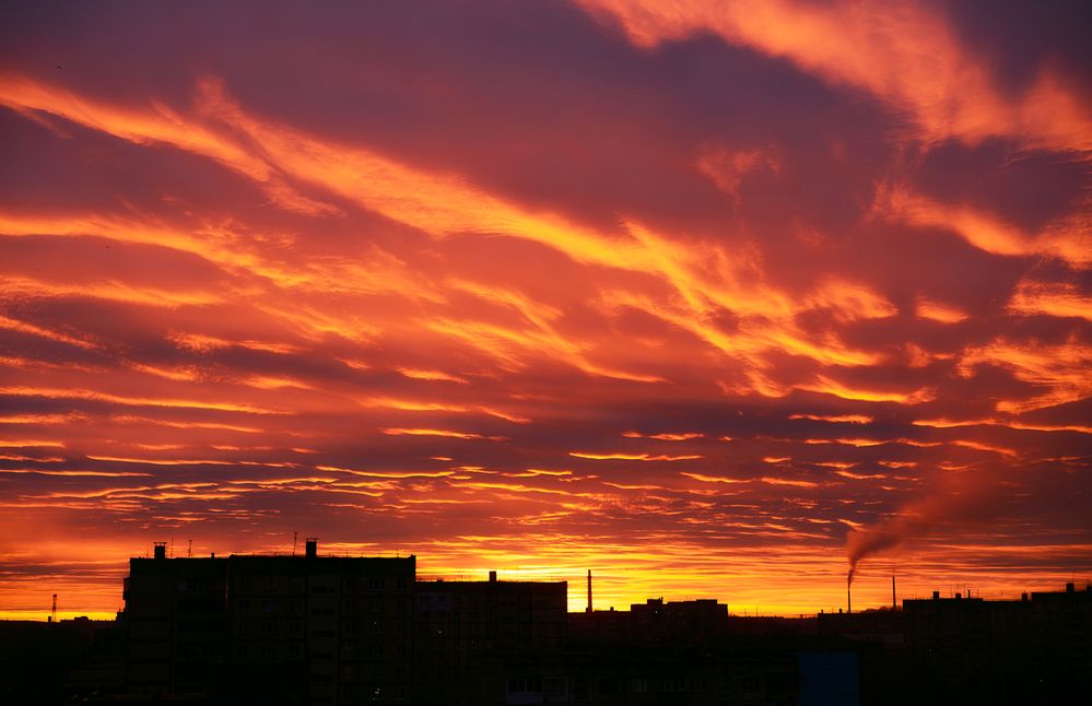 Photograph by Ольга Шибяева