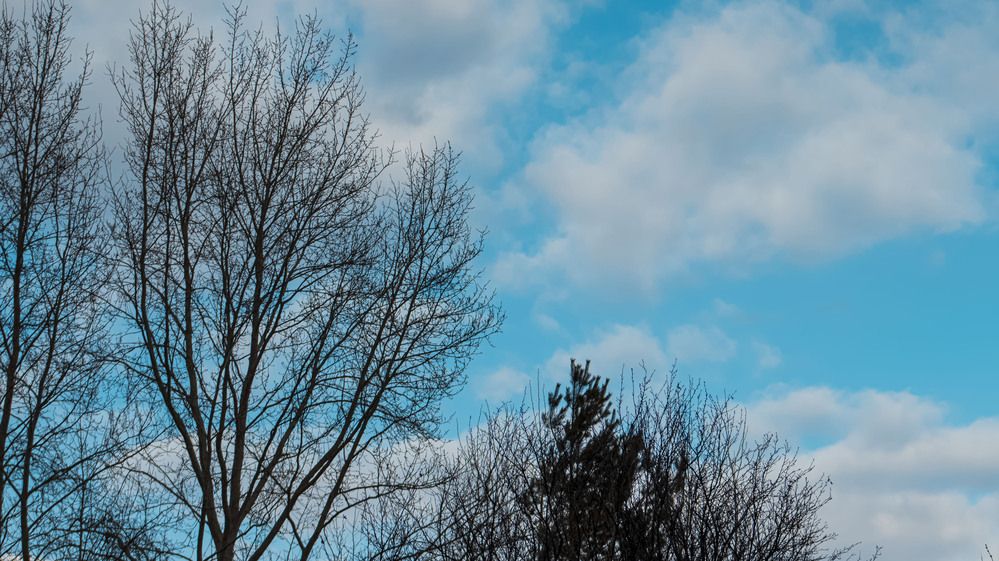 Photograph by Лола Бусыгина