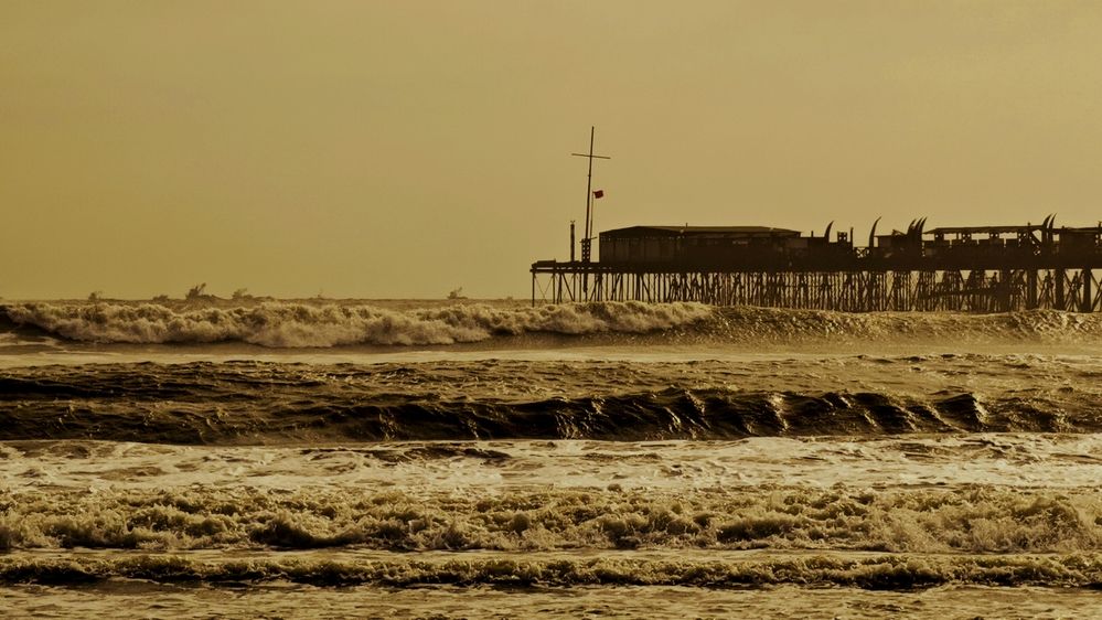 Photo #12538542