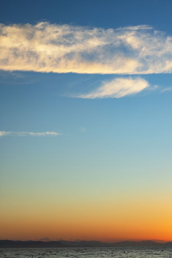 Фотография автора Анна Листишенко