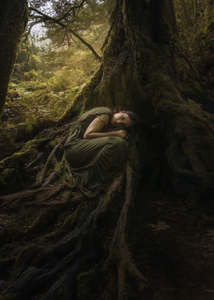 Фотография #12538548