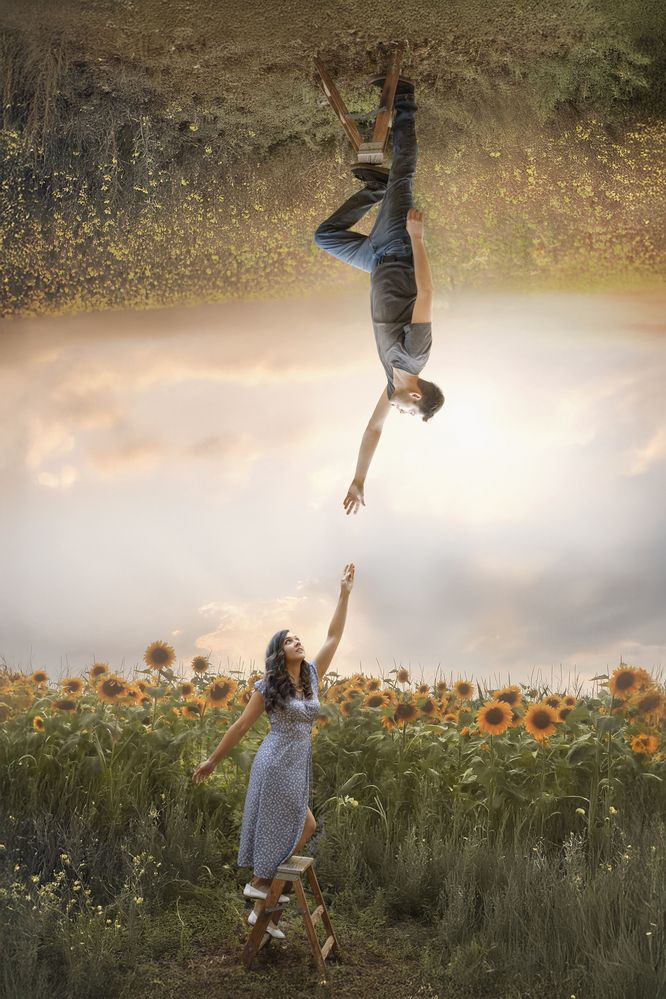 When love calls, it does not see sides—only hands reaching for one another