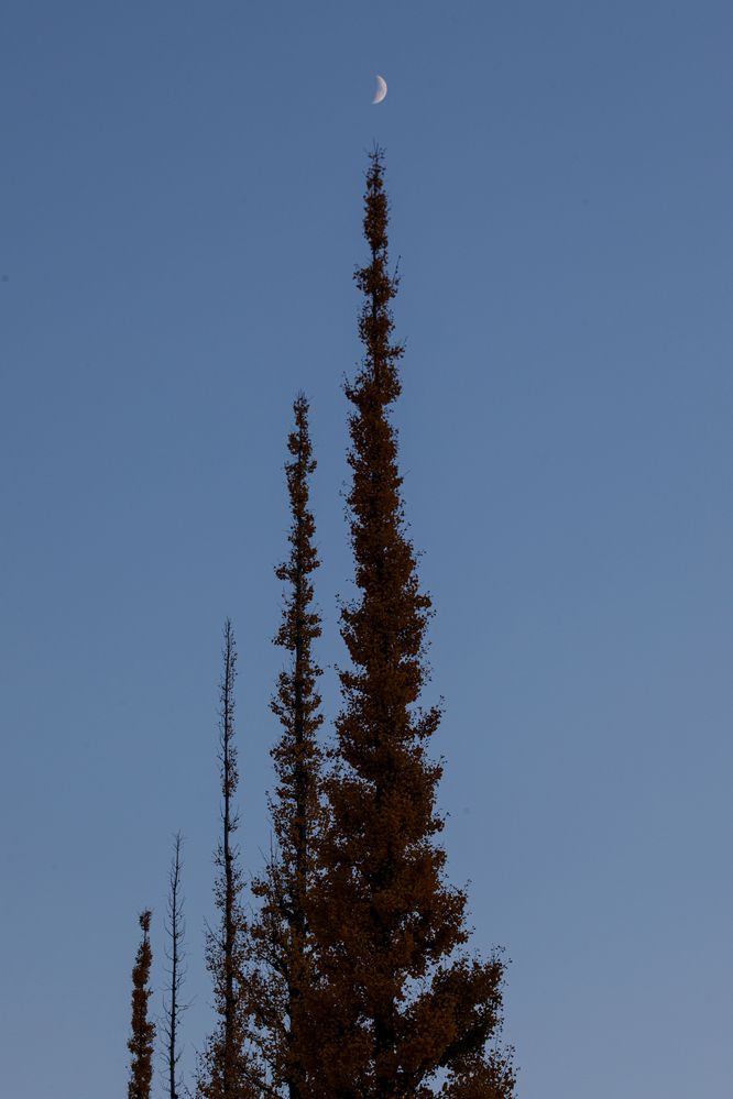 Фотография автора kurouzu.setsuna