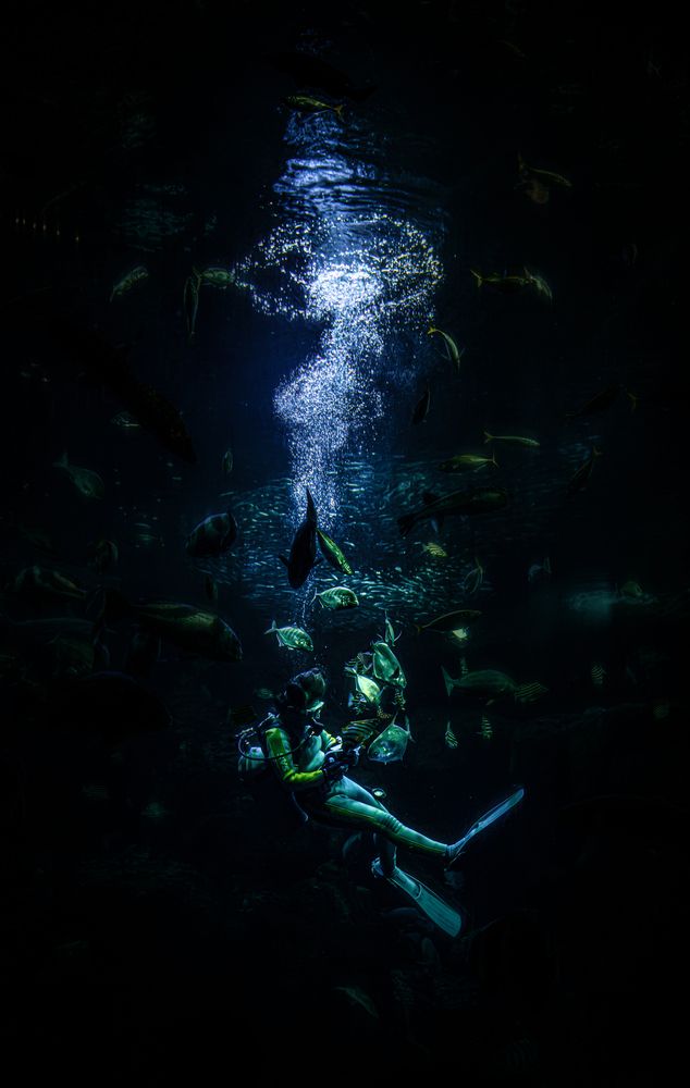 Фотография автора kurouzu.setsuna