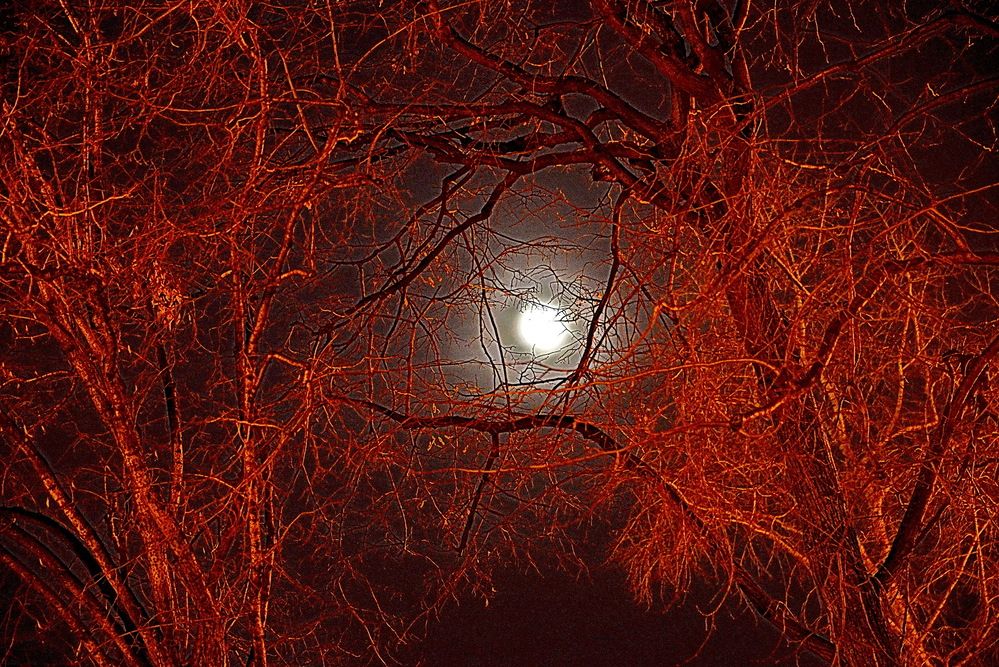 Photograph by Вадим Гераскин