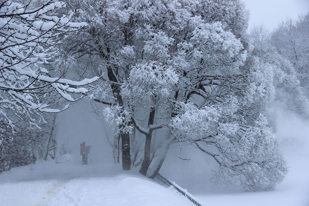 Photograph by Леонид Азаров
