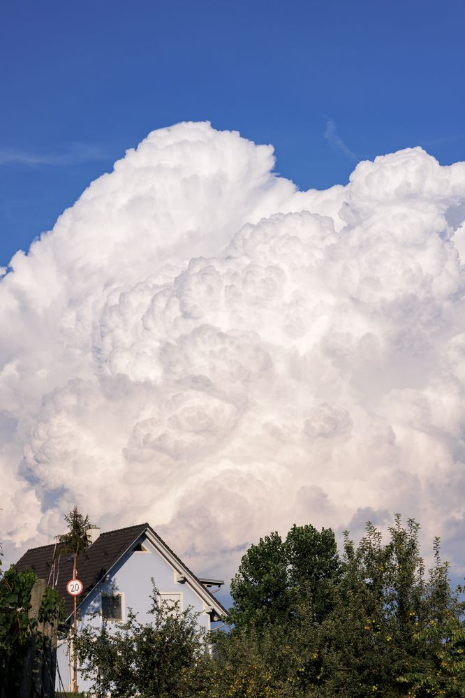 Фотография автора Анна Листишенко