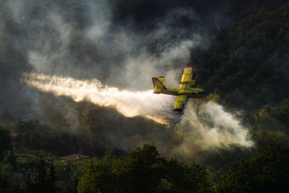 Photograph by Denis Cristian BURMELEAC