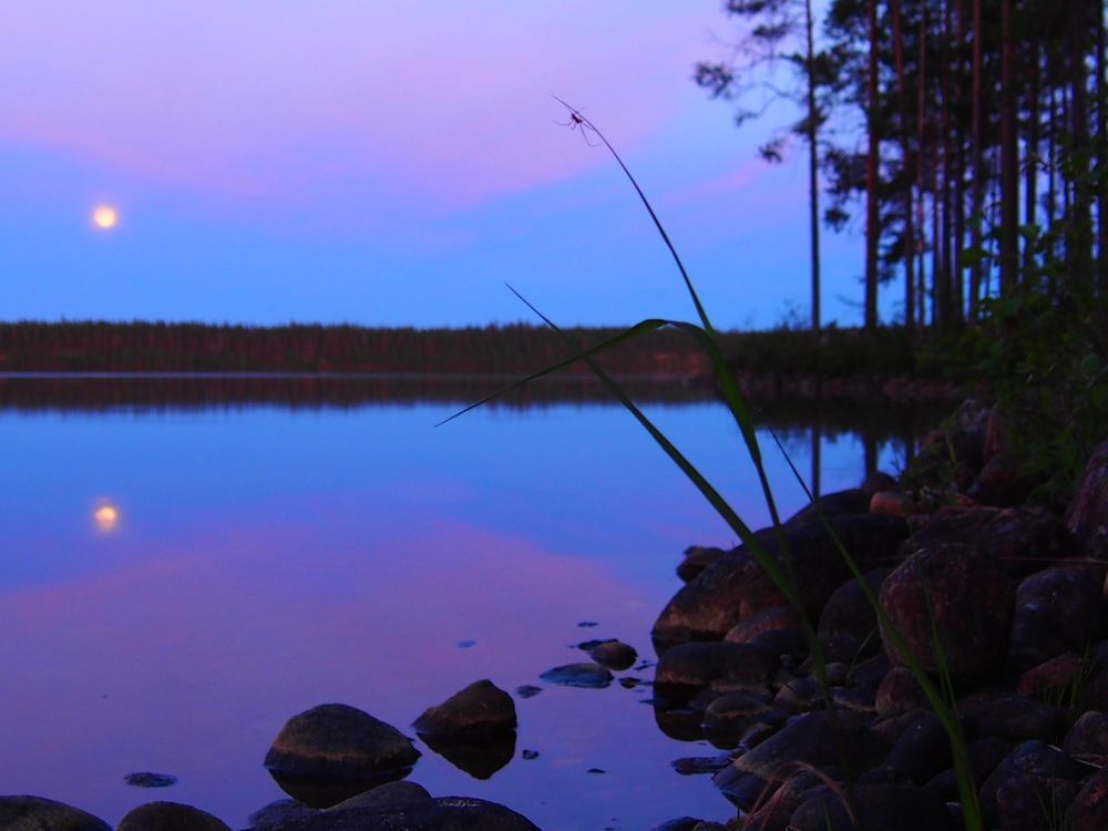 Photograph by Кристина Городецкая