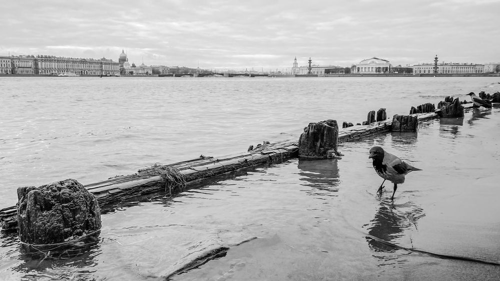 Photograph by Nikolai Osokin