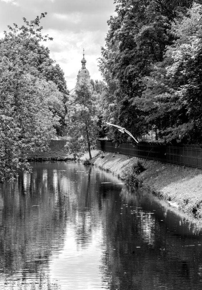 Photograph by Nikolai Osokin