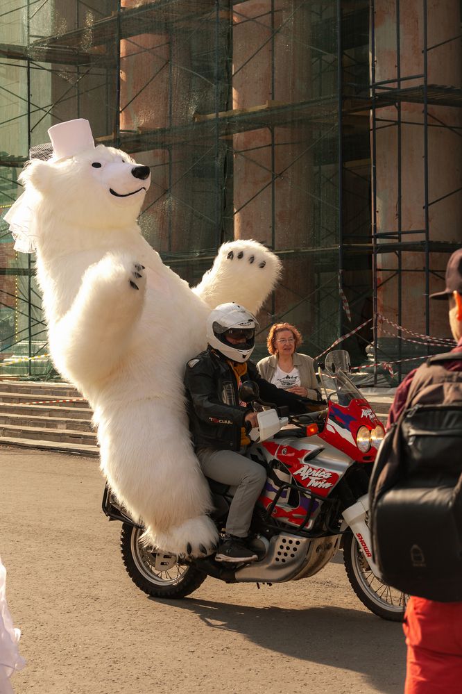 Photograph by Людмила Новосёлова