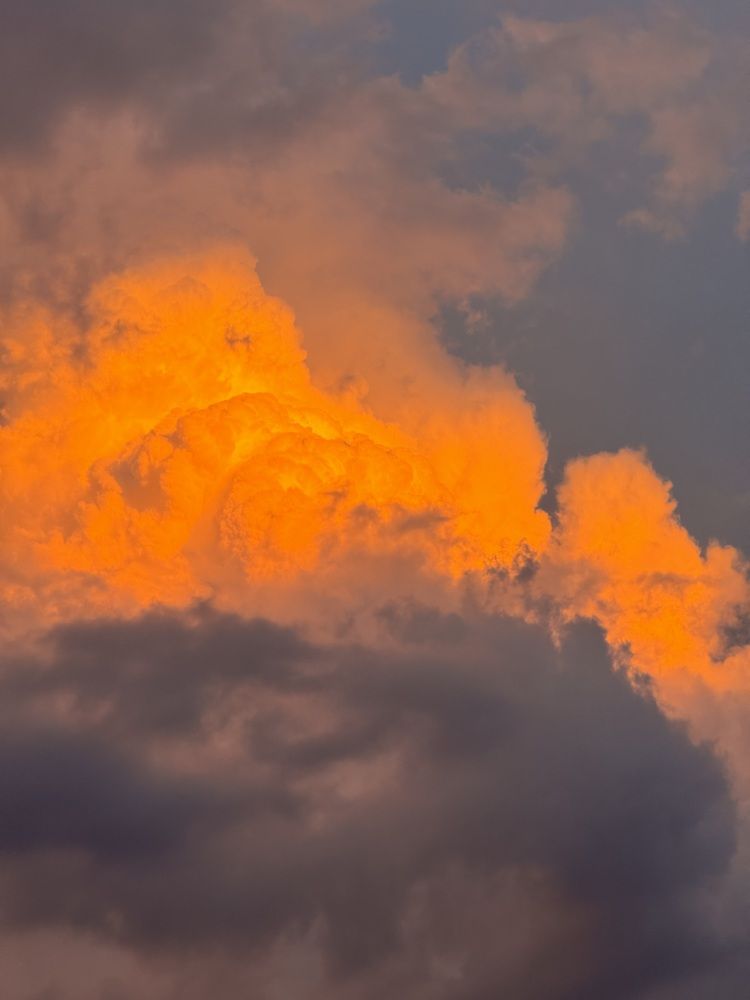 Photograph by Бойкова Наталия