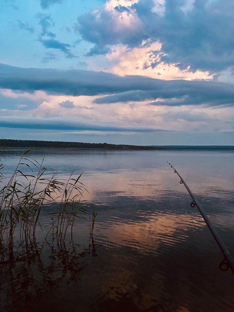 Photograph by Анжелика Лущий