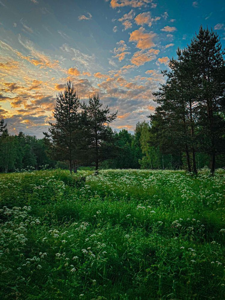 Photograph by Анжелика Лущий
