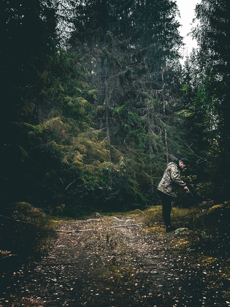 Photo #12538878