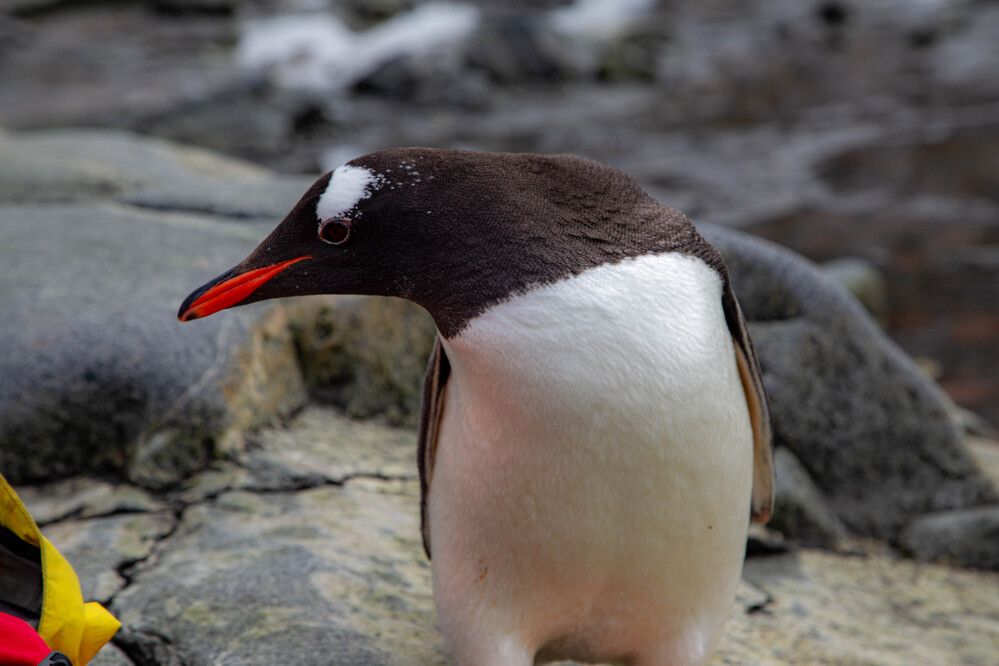 Photograph by Василий Писарев