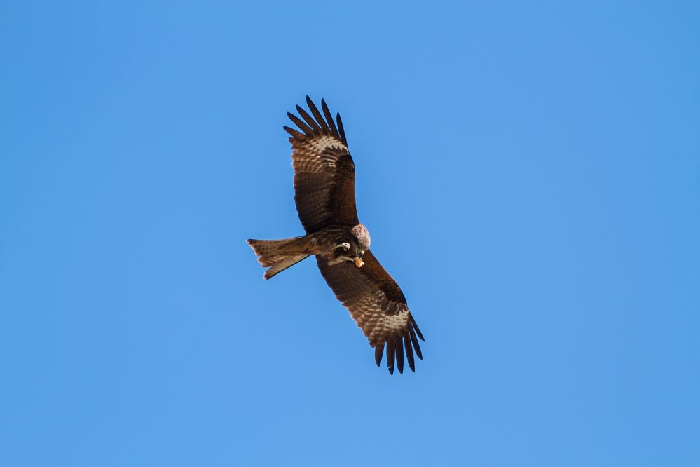 Photograph by Данил Варапаев