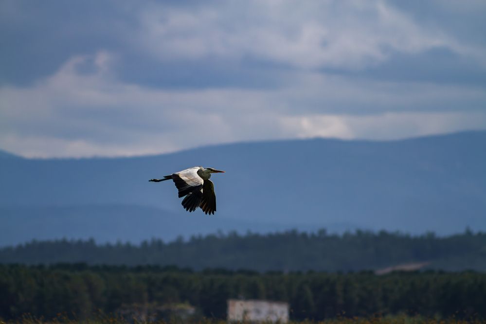 Photograph by Данил Варапаев