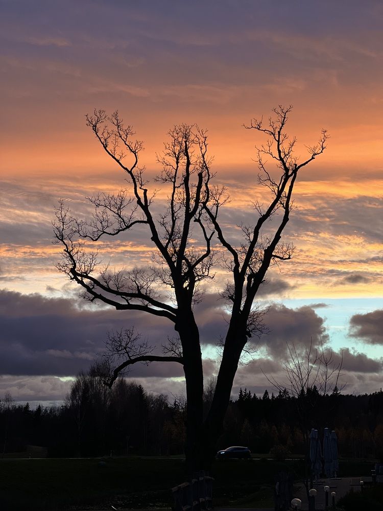 Photograph by Viktorija Bočarova