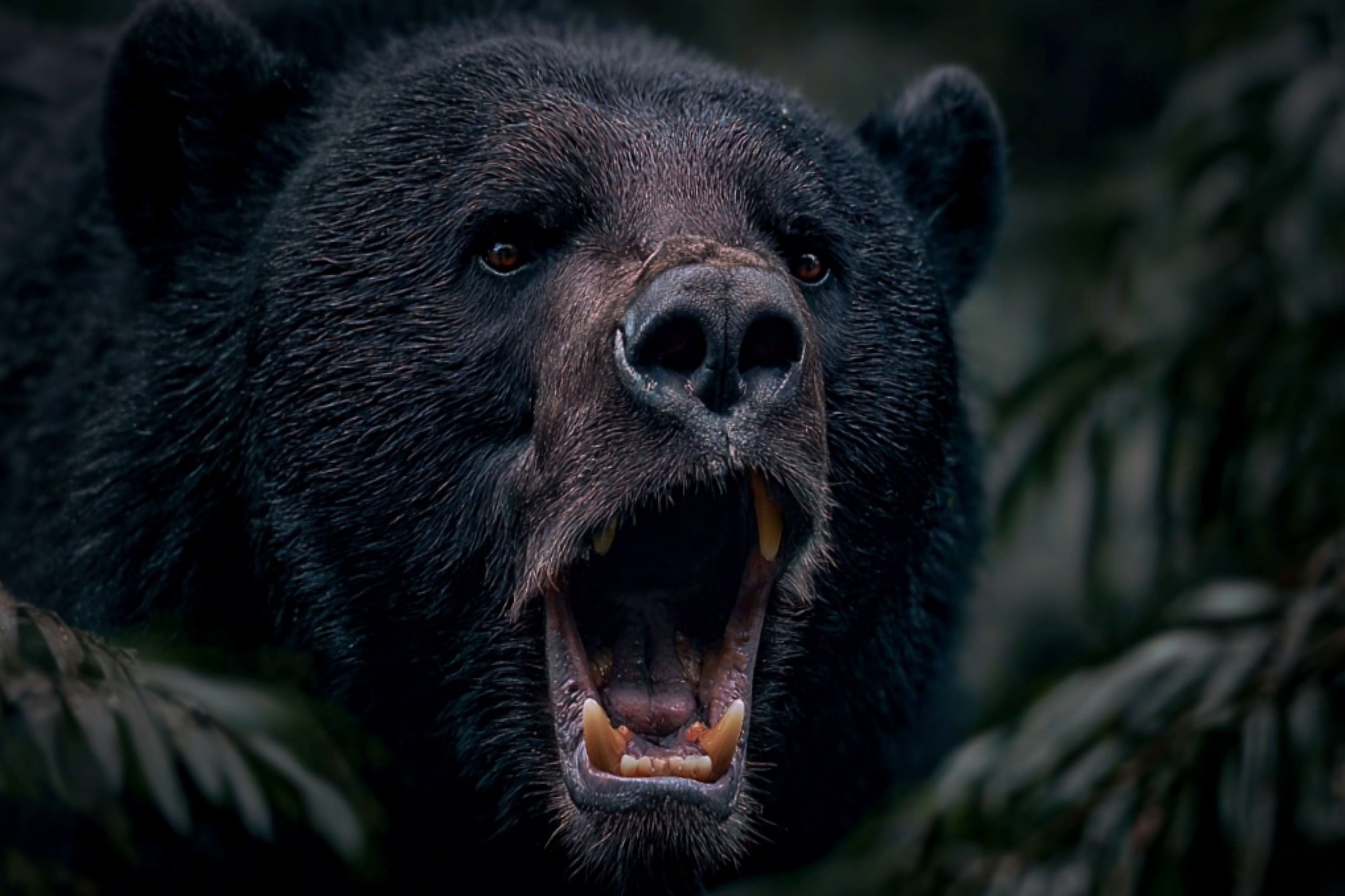 Photograph by Татьяна Бравая