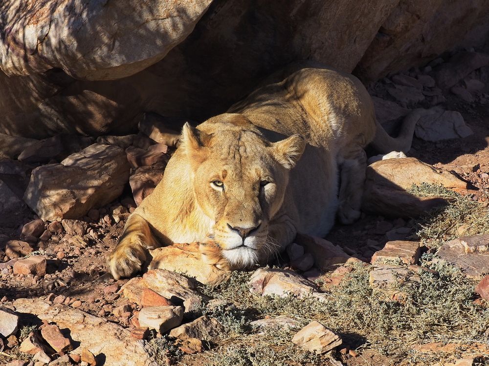 Photograph by Павел Сазанов