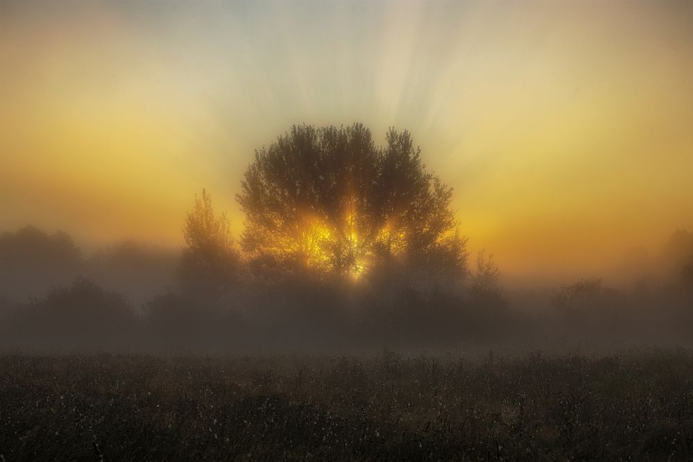 Photograph by Leanid Kulpo