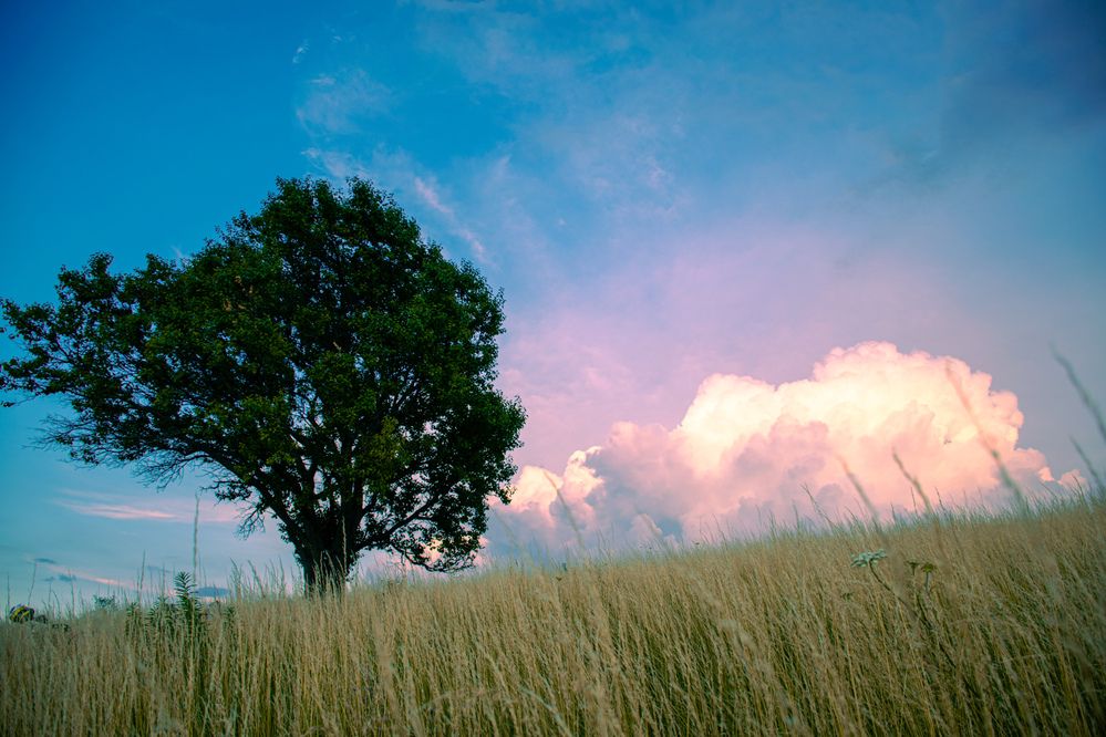 Фотография автора Данил Дорошенко