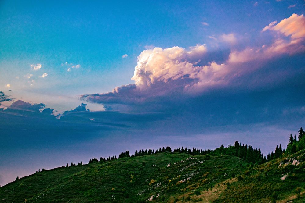 Фотография автора Данил Дорошенко