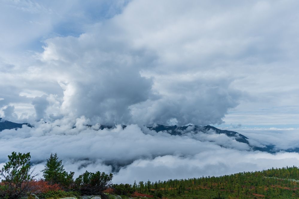 Photograph by Виктория Лобанова