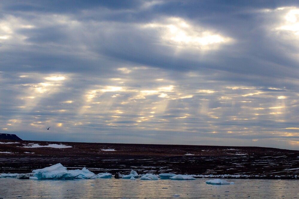 Photograph by Василий Писарев