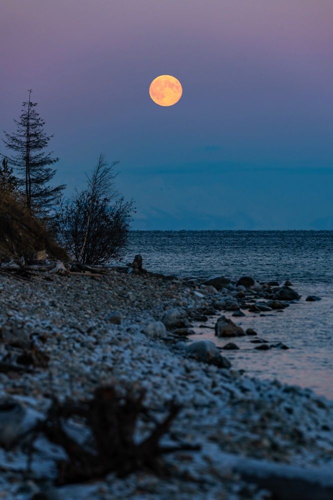 Photograph by Виктория Лобанова