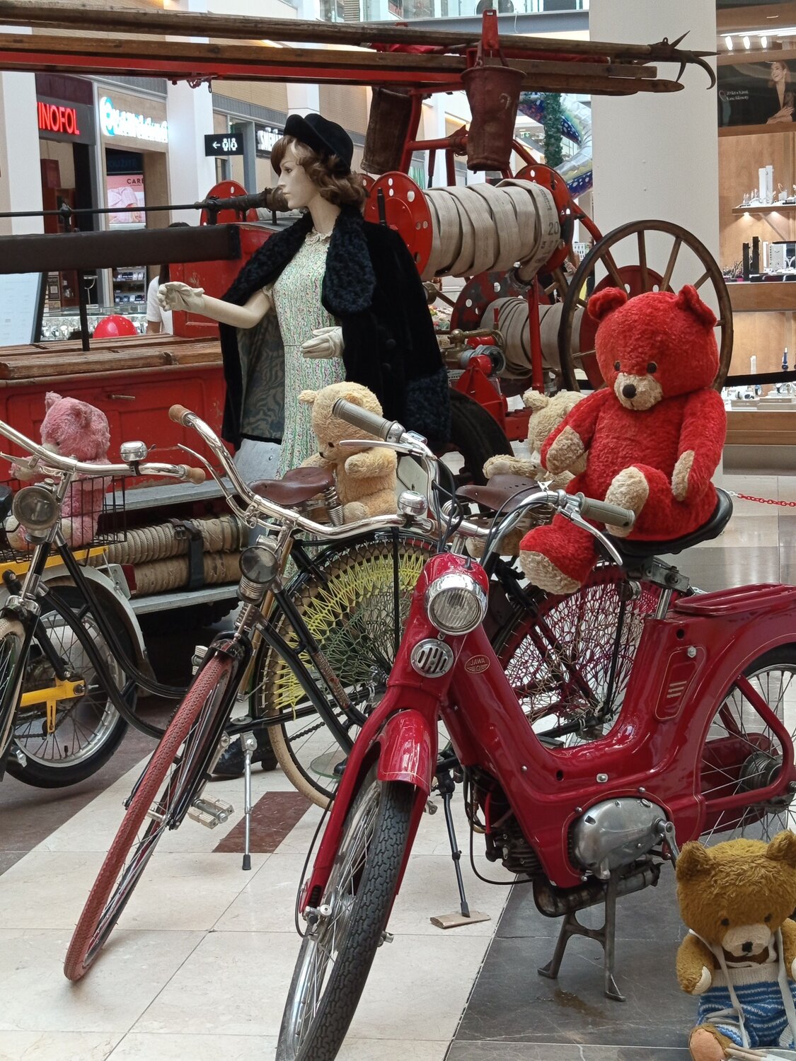 The Red Expedition