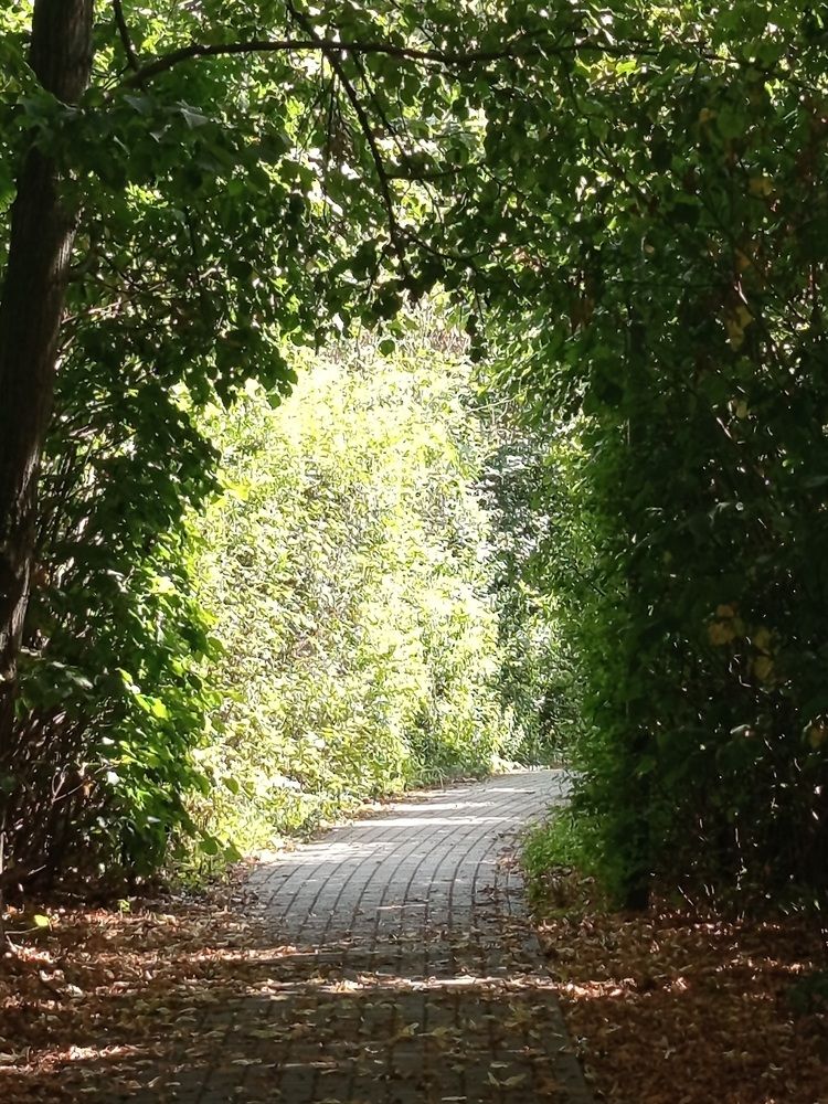 Фотография автора Jindřiška Kučerová