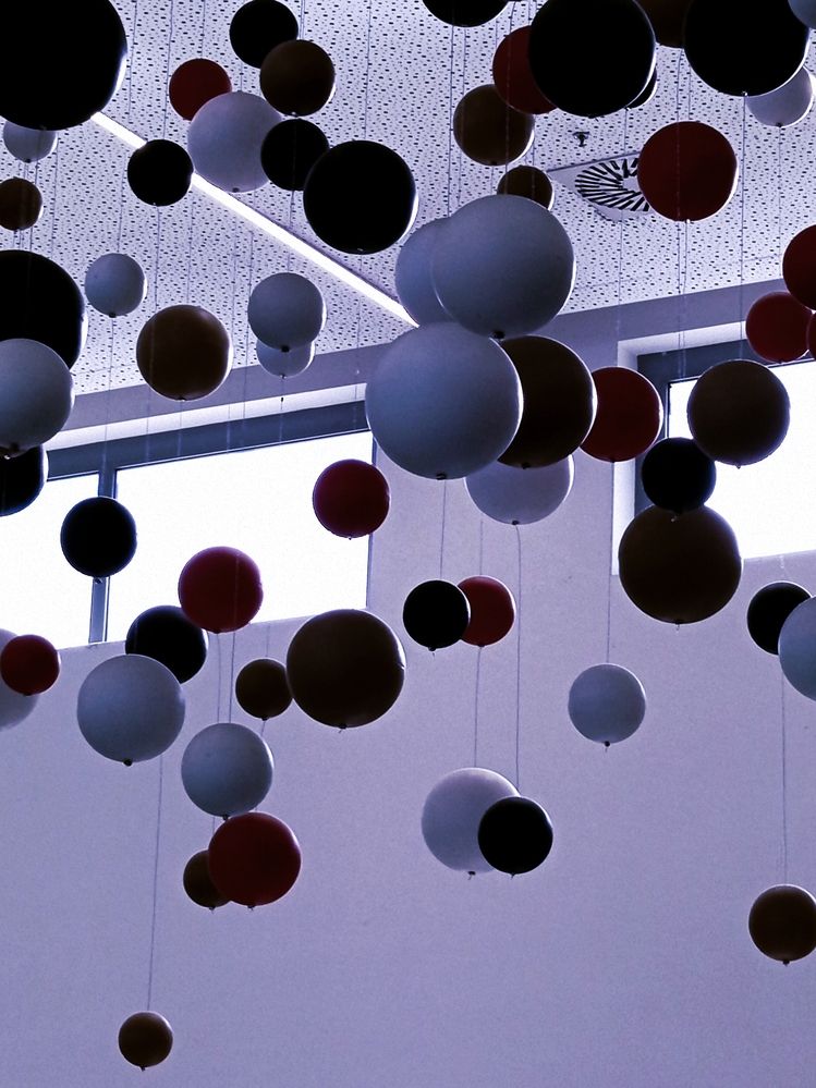 Фотография автора Jindřiška Kučerová