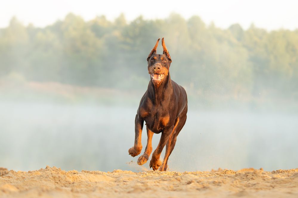 Photograph by Любовь Головина