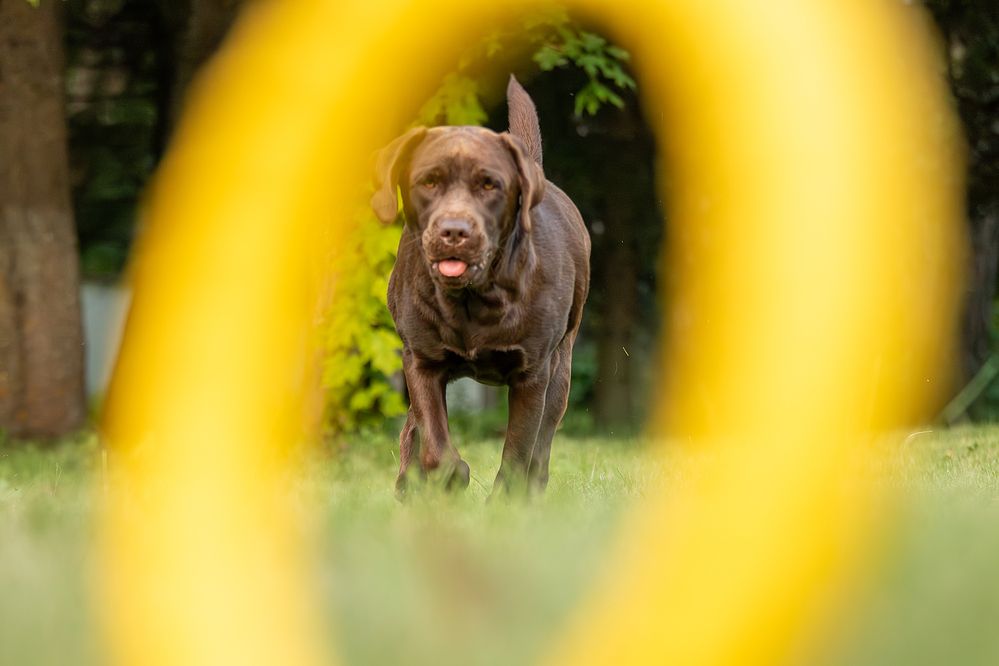 Photograph by Любовь Головина